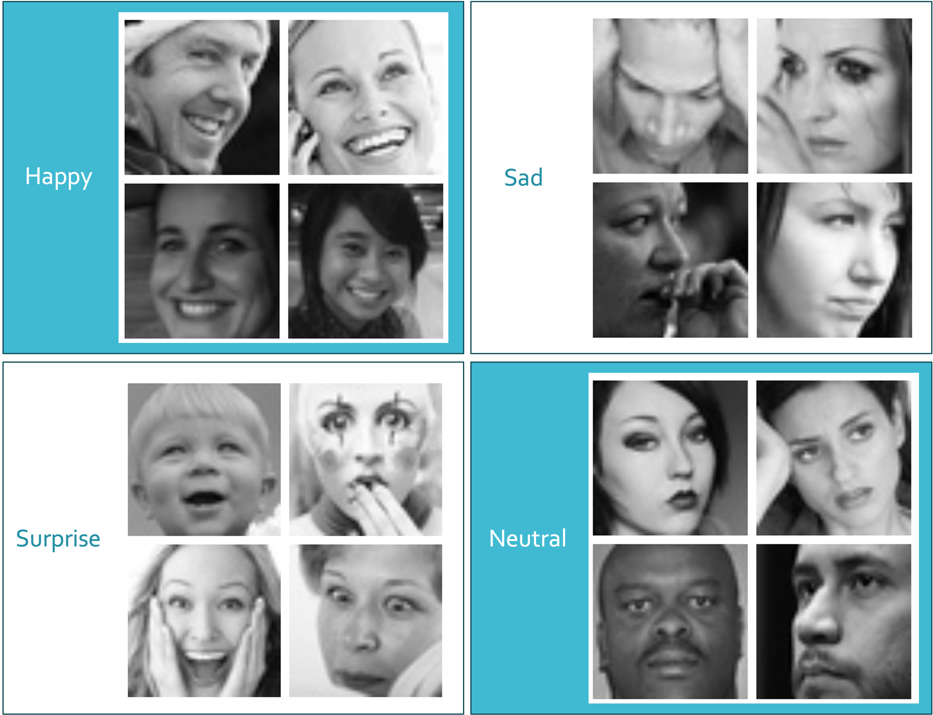 examples of the provided facial image data with their associated emotion labels